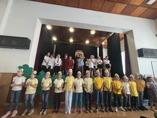 Školní akademie