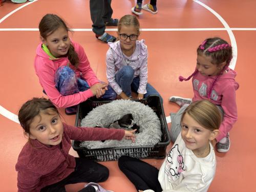 Zvířecí den v naší škole